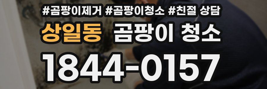 상일동 곰팡이 청소