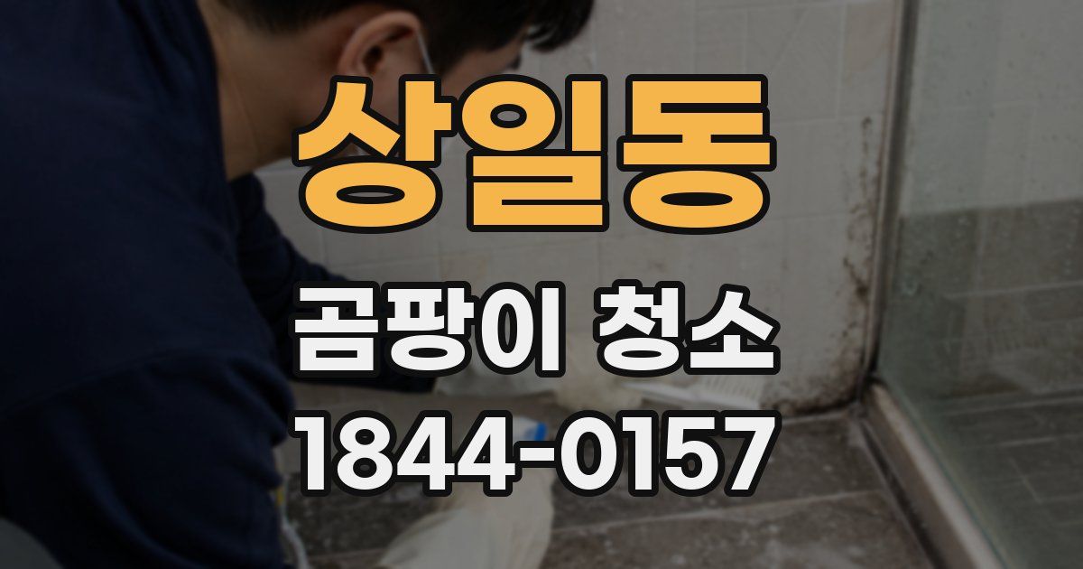 상일동 곰팡이 청소