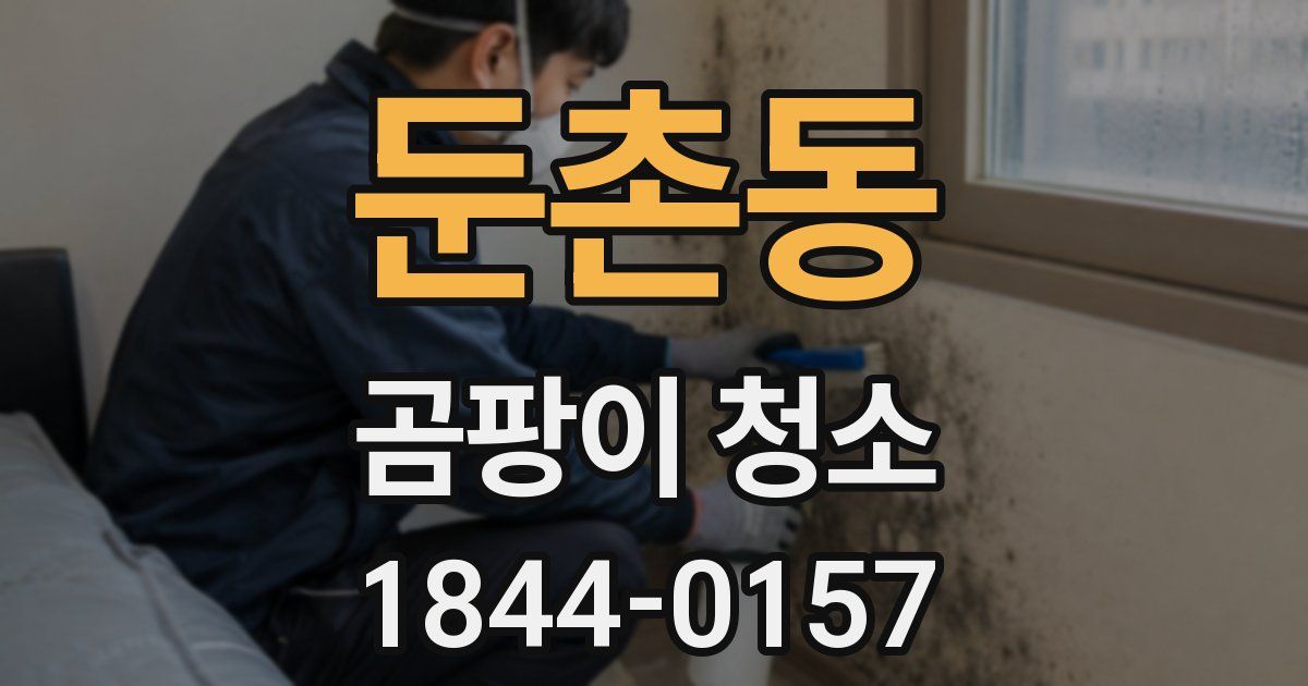 둔촌동 곰팡이 청소