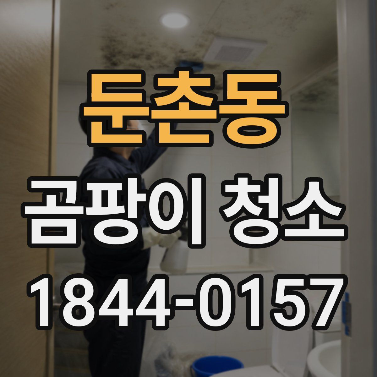 둔촌동 곰팡이 청소