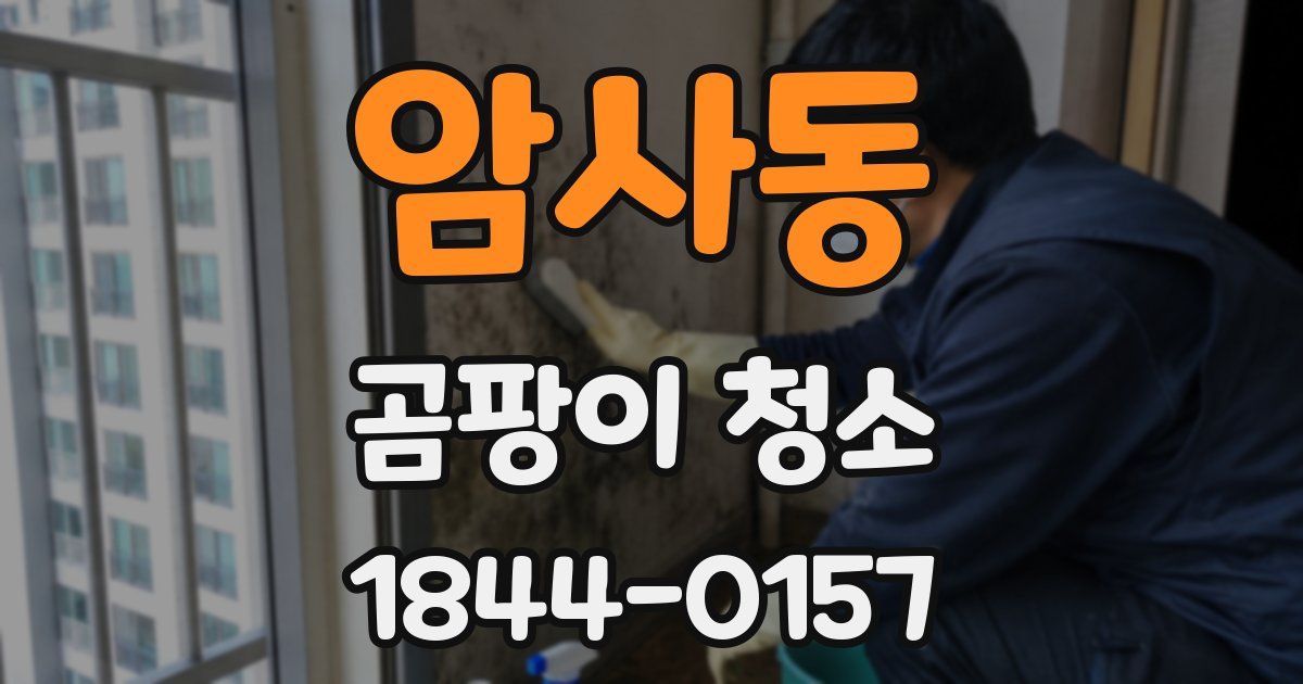 암사동 곰팡이 청소
