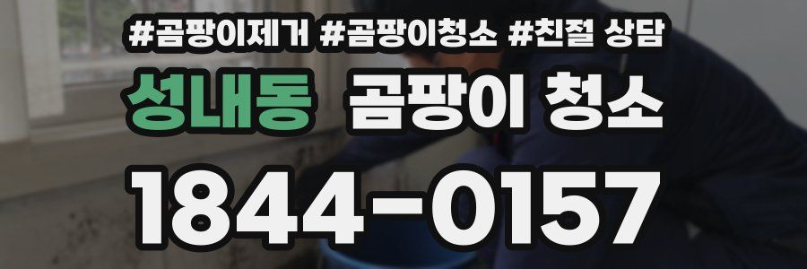 성내동 곰팡이 청소