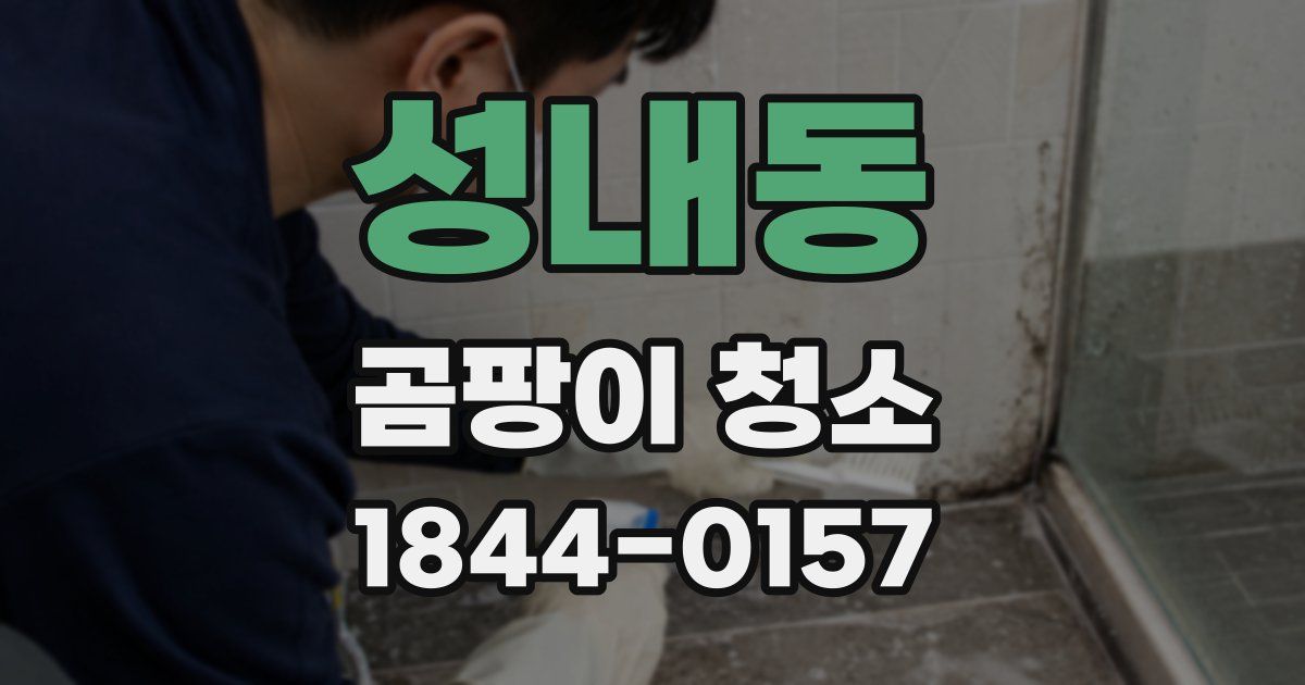 성내동 곰팡이 청소