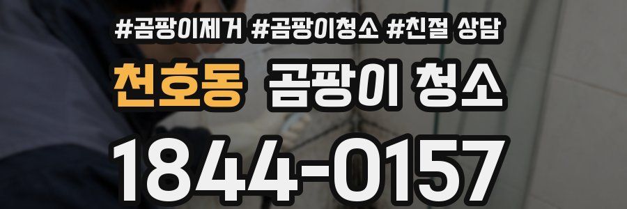 천호동 곰팡이 청소