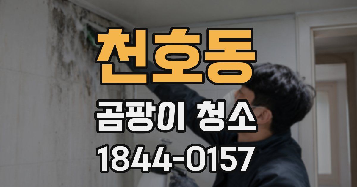천호동 곰팡이 청소