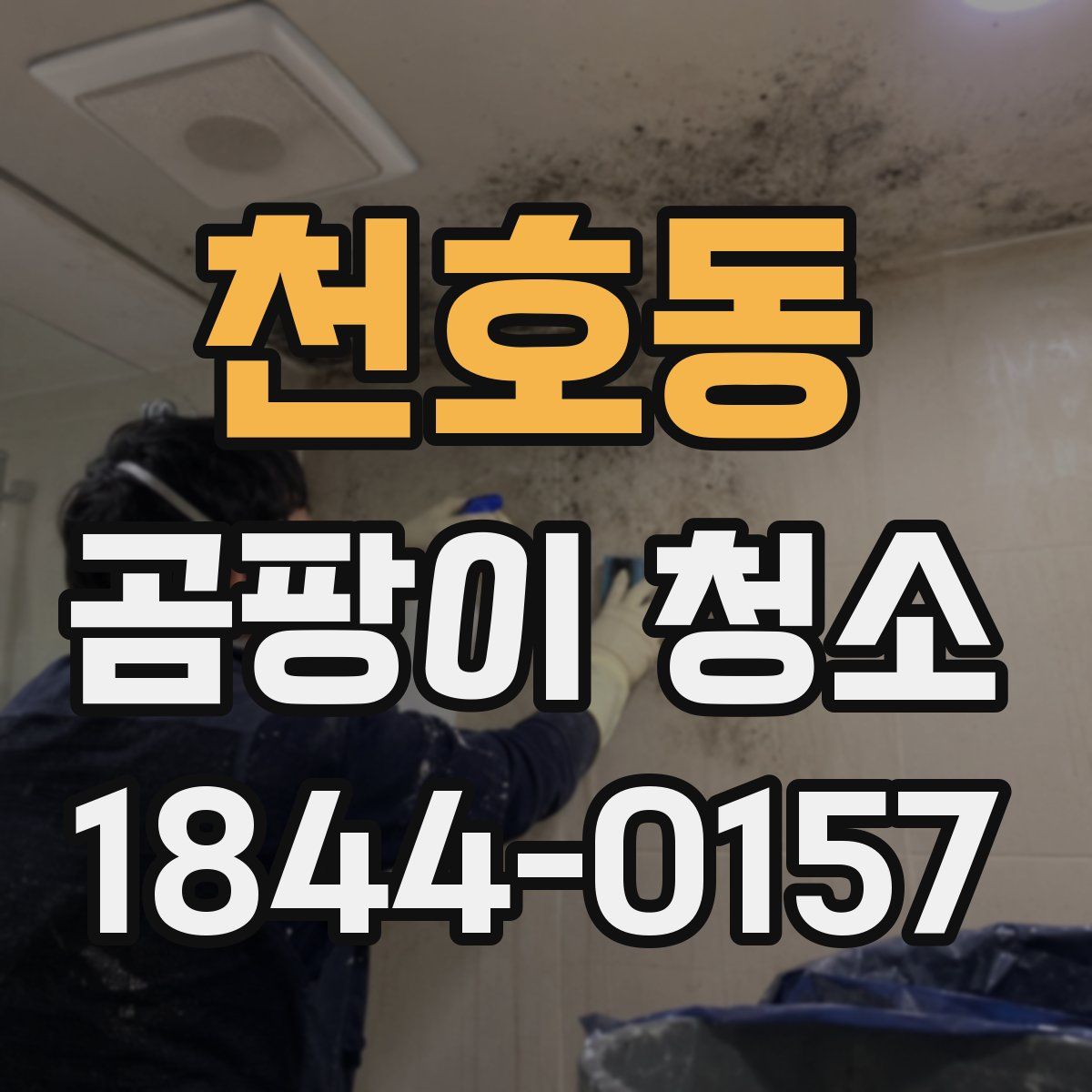 천호동 곰팡이 청소