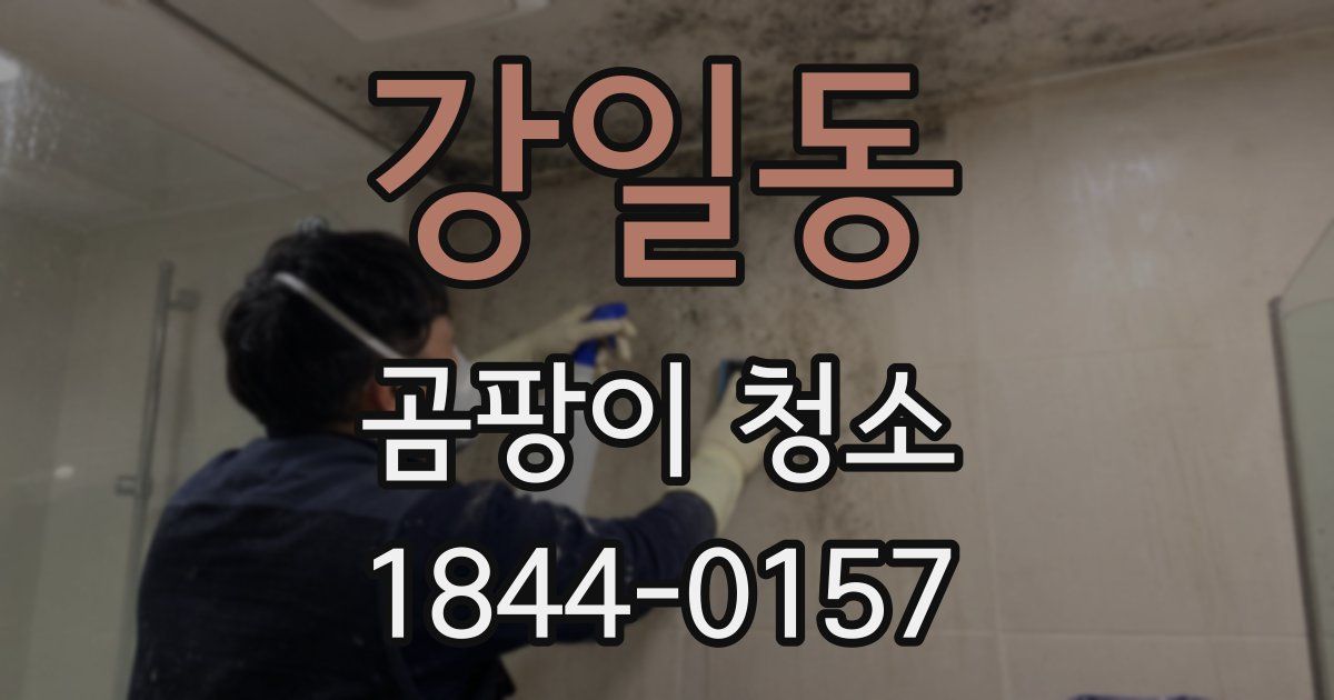 강일동 곰팡이 청소