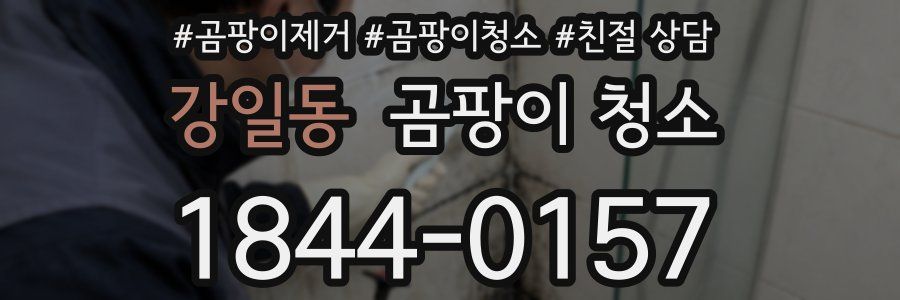 강일동 곰팡이 청소