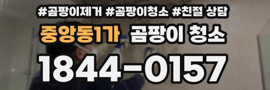중앙동1가 곰팡이 청소