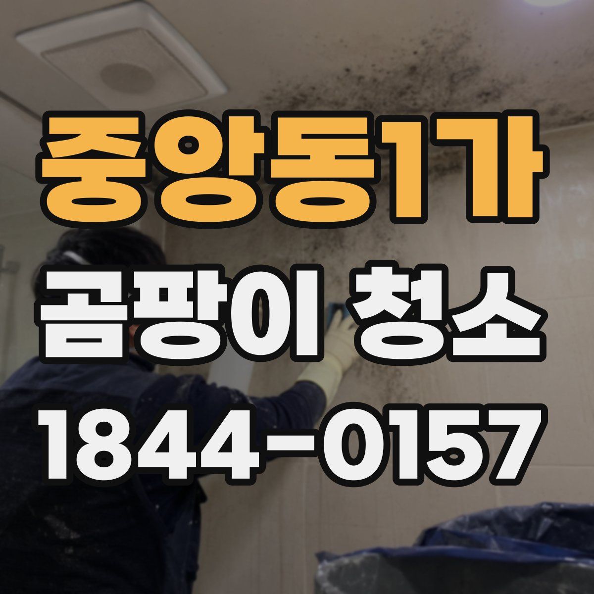 중앙동1가 곰팡이 청소