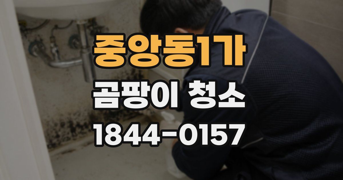 중앙동1가 곰팡이 청소