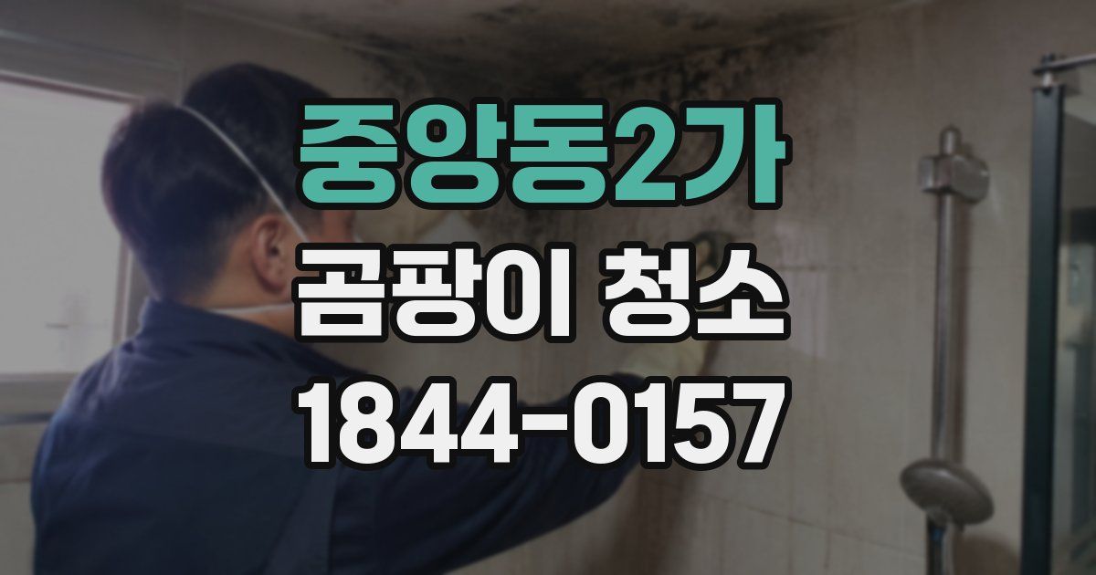 중앙동2가 곰팡이 청소