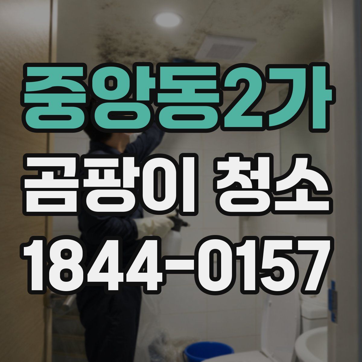 중앙동2가 곰팡이 청소