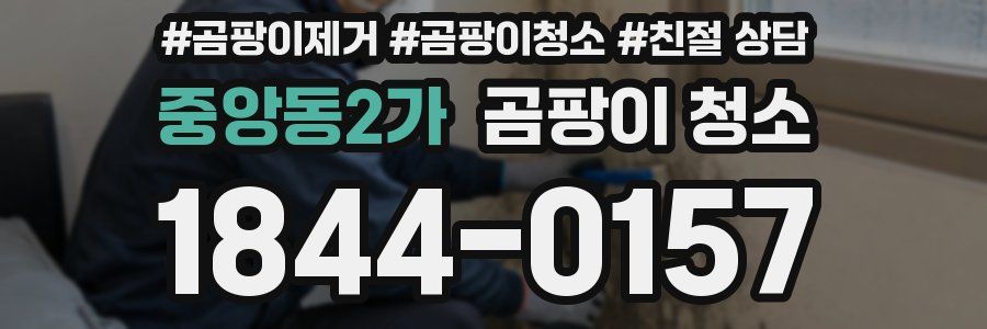 중앙동2가 곰팡이 청소