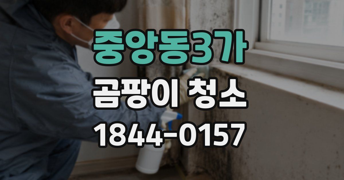 중앙동3가 곰팡이 청소
