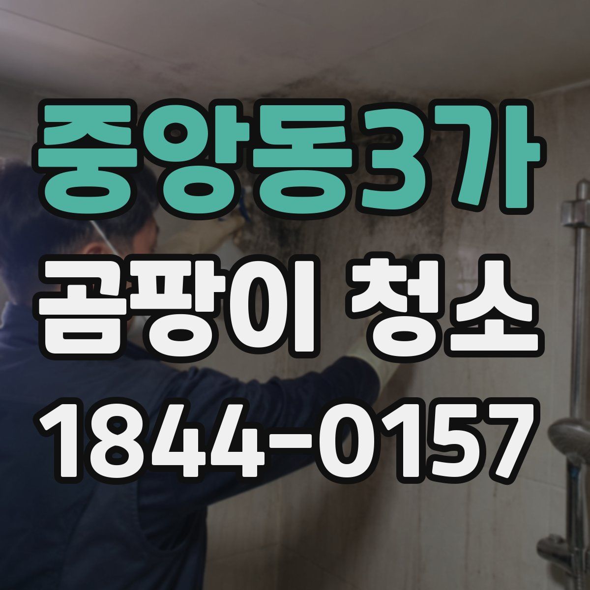 중앙동3가 곰팡이 청소
