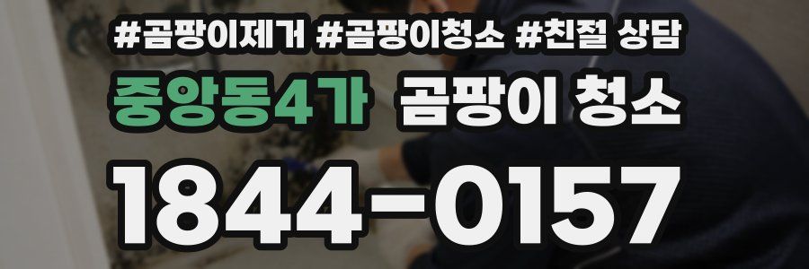중앙동4가 곰팡이 청소