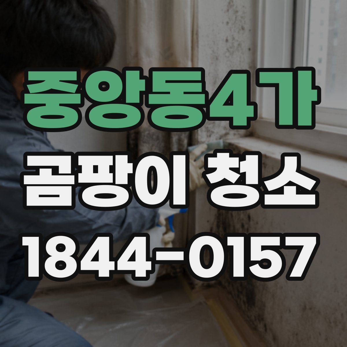 중앙동4가 곰팡이 청소