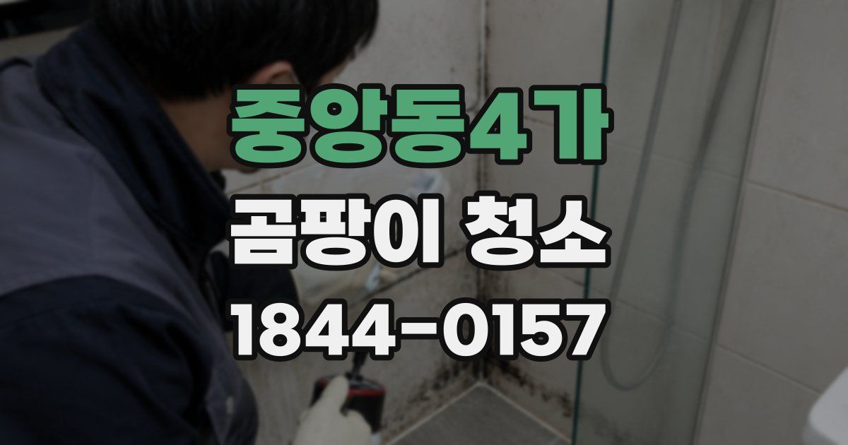 중앙동4가 곰팡이 청소