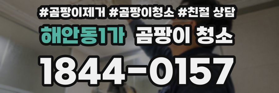 해안동1가 곰팡이 청소