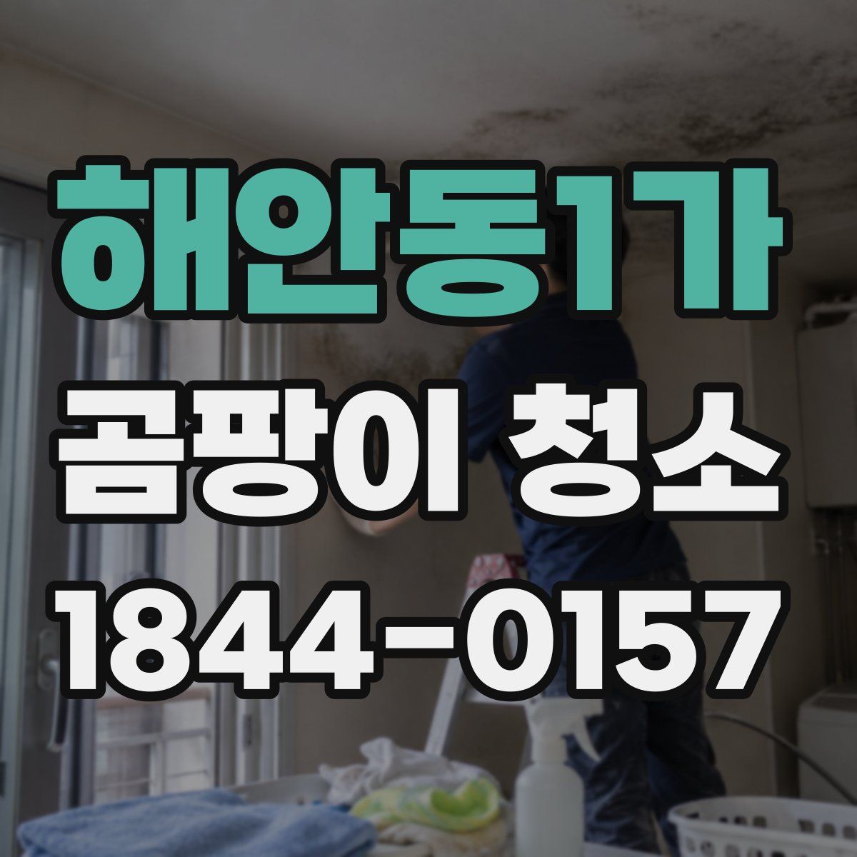 해안동1가 곰팡이 청소