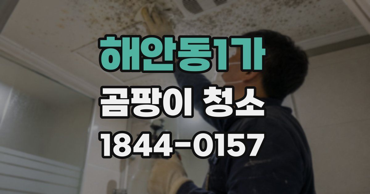 해안동1가 곰팡이 청소