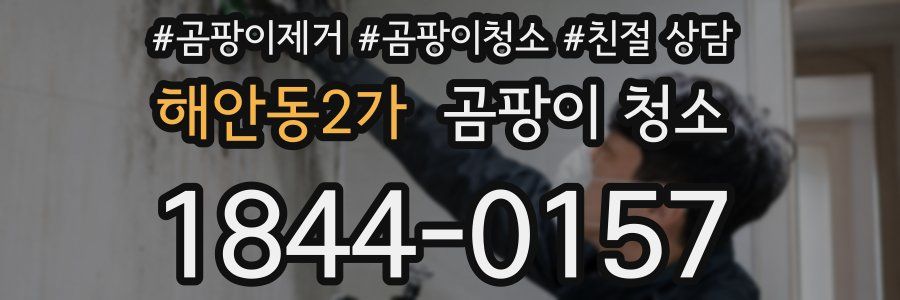해안동2가 곰팡이 청소