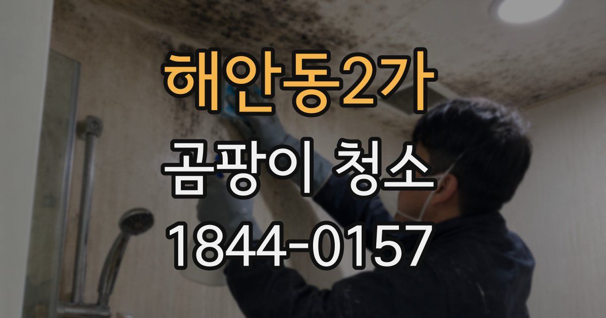 해안동2가 곰팡이 청소