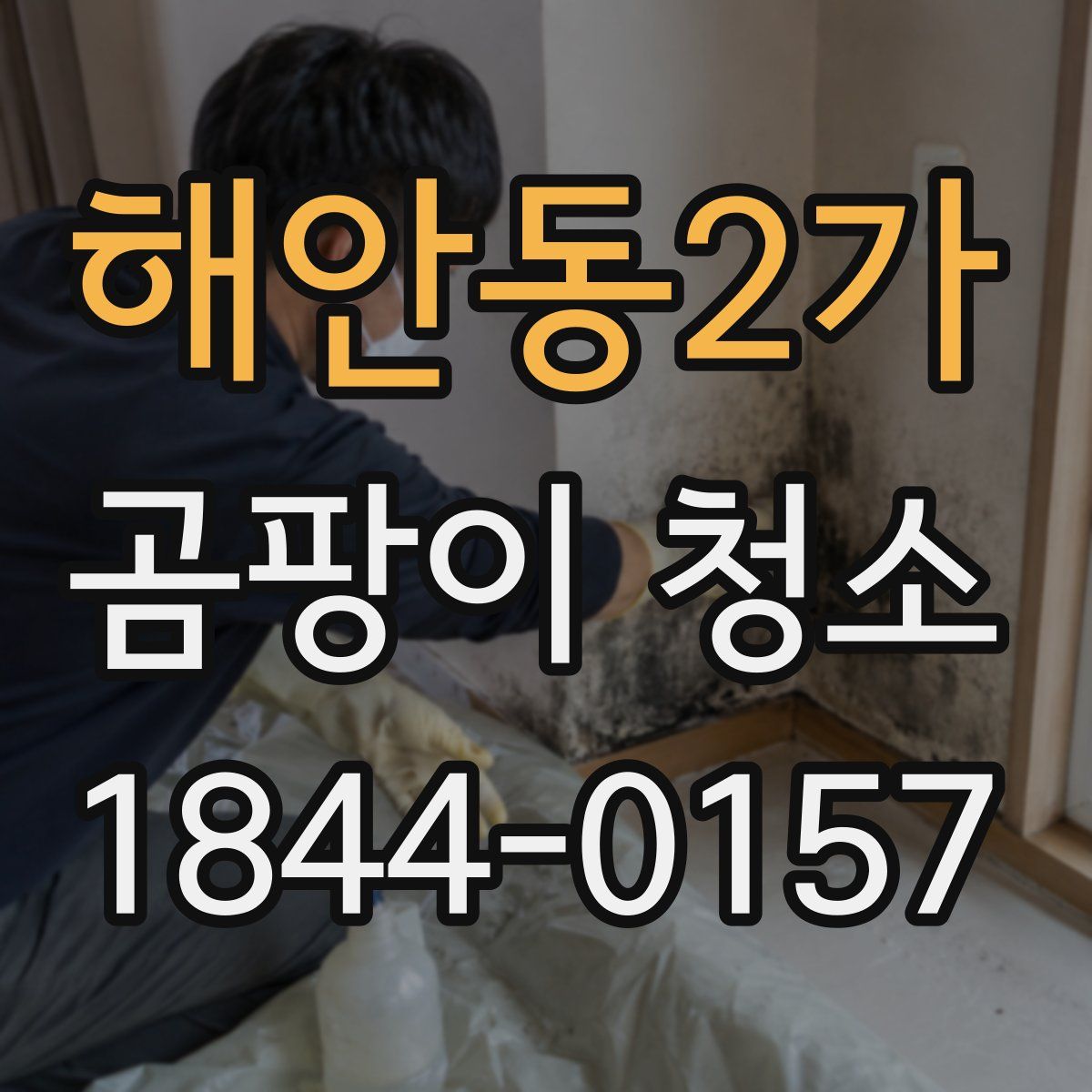 해안동2가 곰팡이 청소