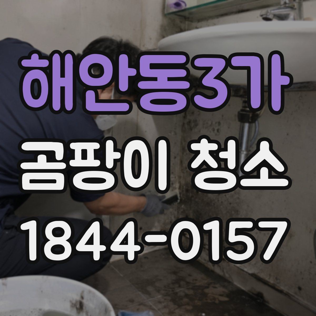 해안동3가 곰팡이 청소 전 곰팡이 원인부터 찾기