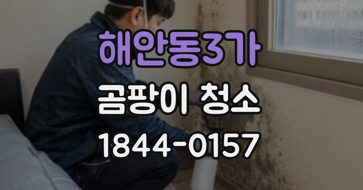 해안동3가 곰팡이 청소