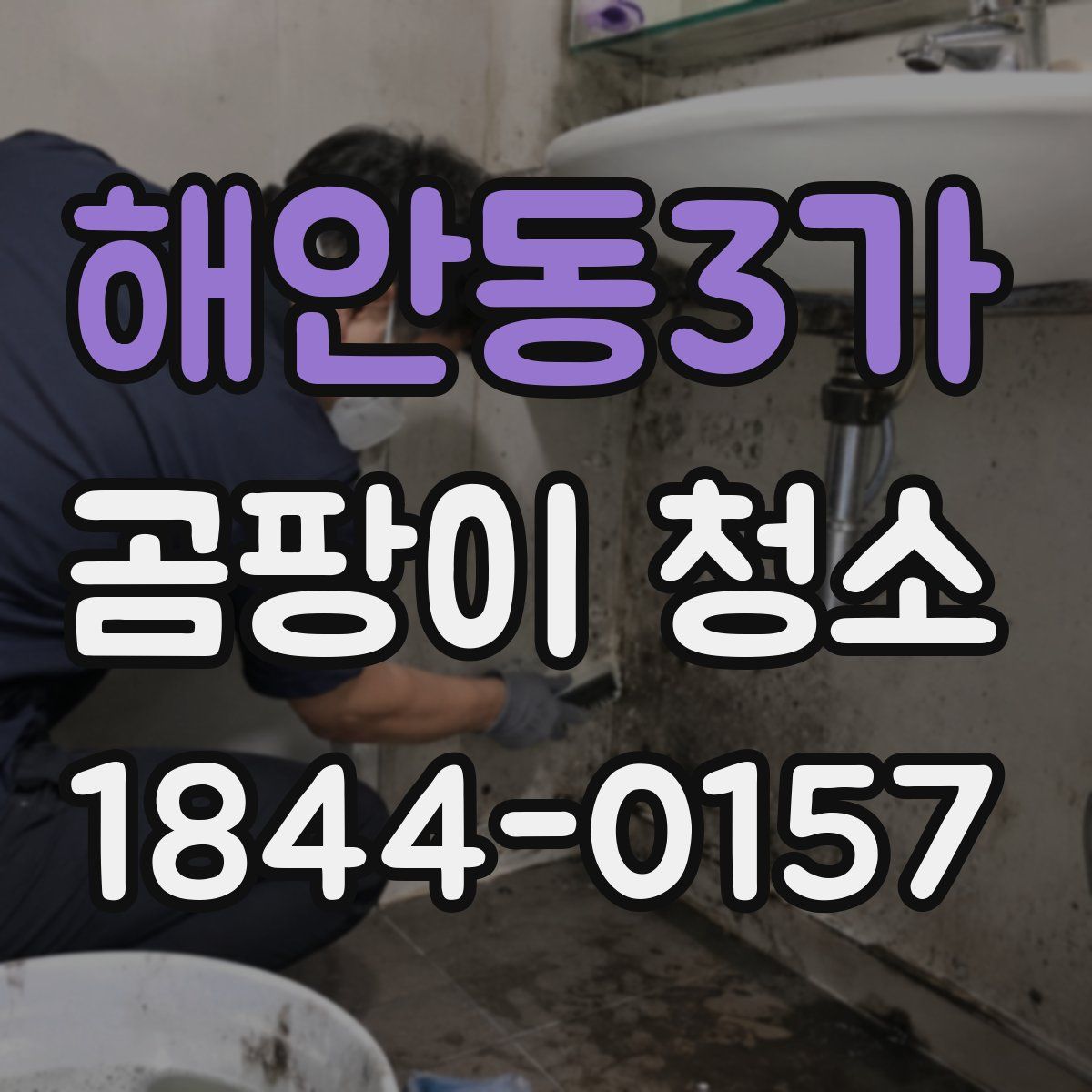 해안동3가 곰팡이 청소