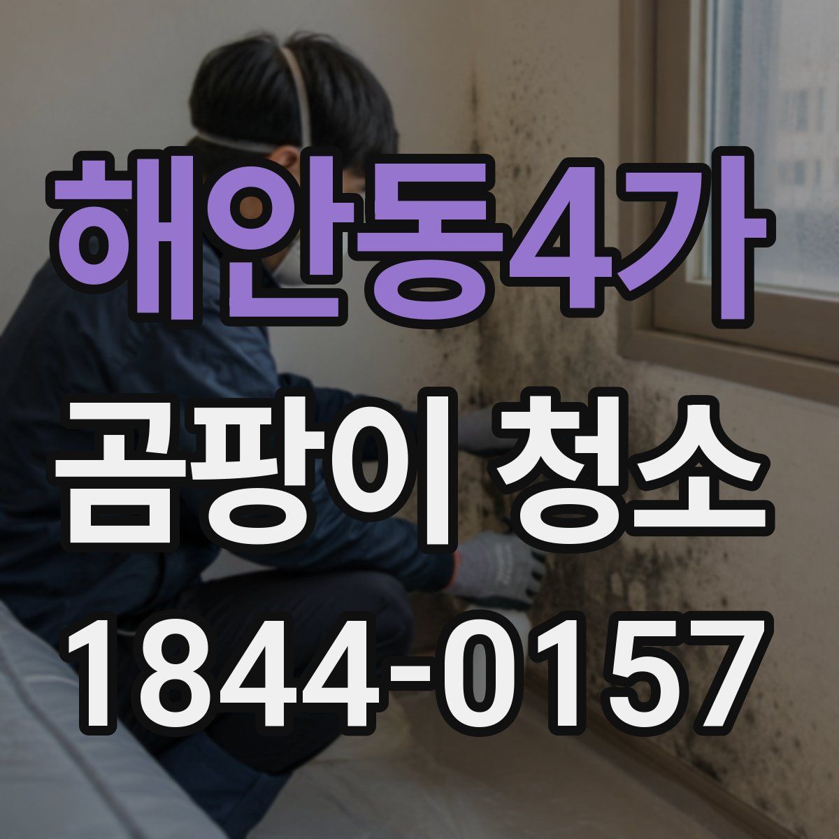 해안동4가 곰팡이 청소