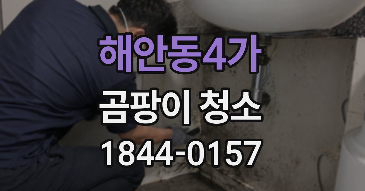 해안동4가 곰팡이 청소
