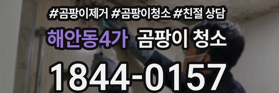 해안동4가 곰팡이 청소