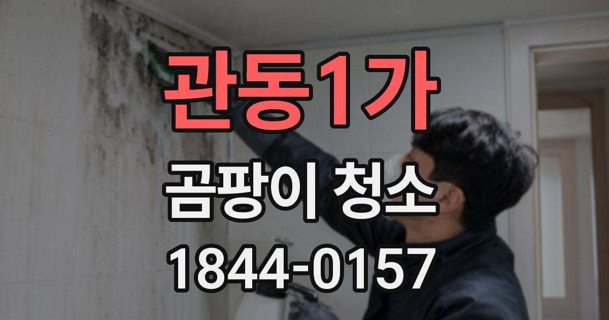 관동1가 곰팡이 청소