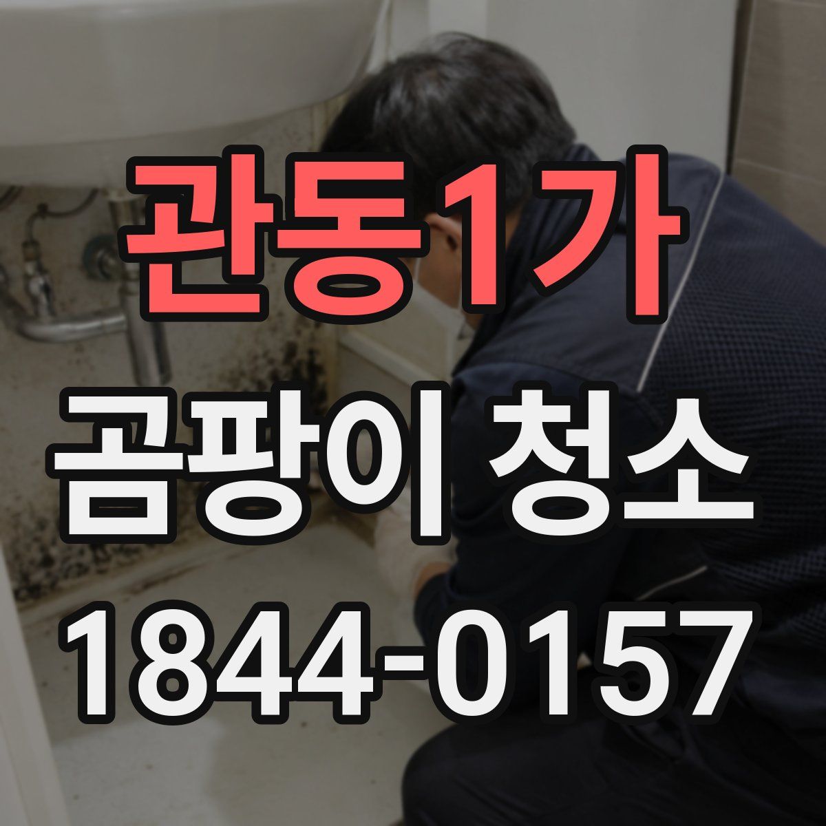 관동1가 곰팡이 청소