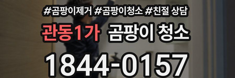 관동1가 곰팡이 청소