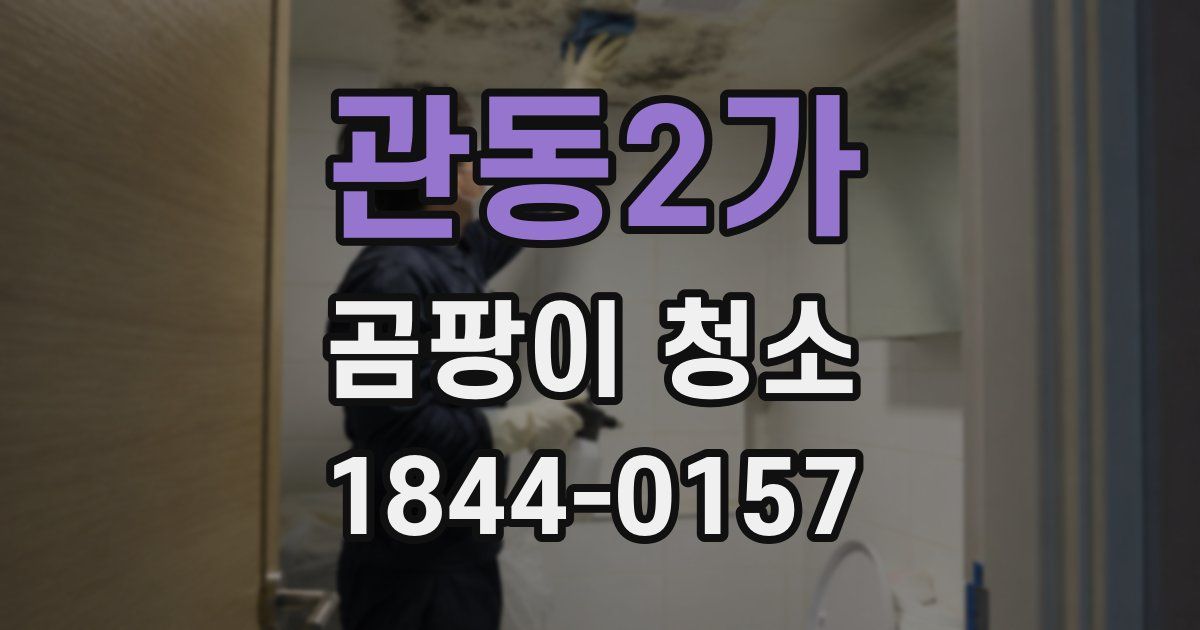 관동2가 곰팡이 청소