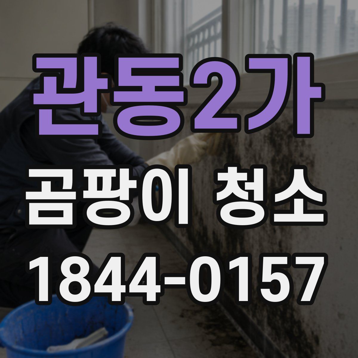 관동2가 곰팡이 청소