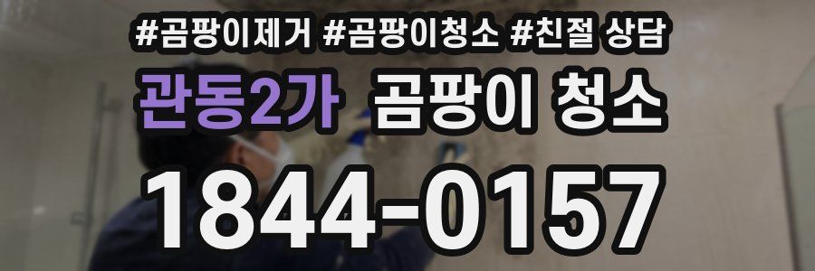 관동2가 곰팡이 청소
