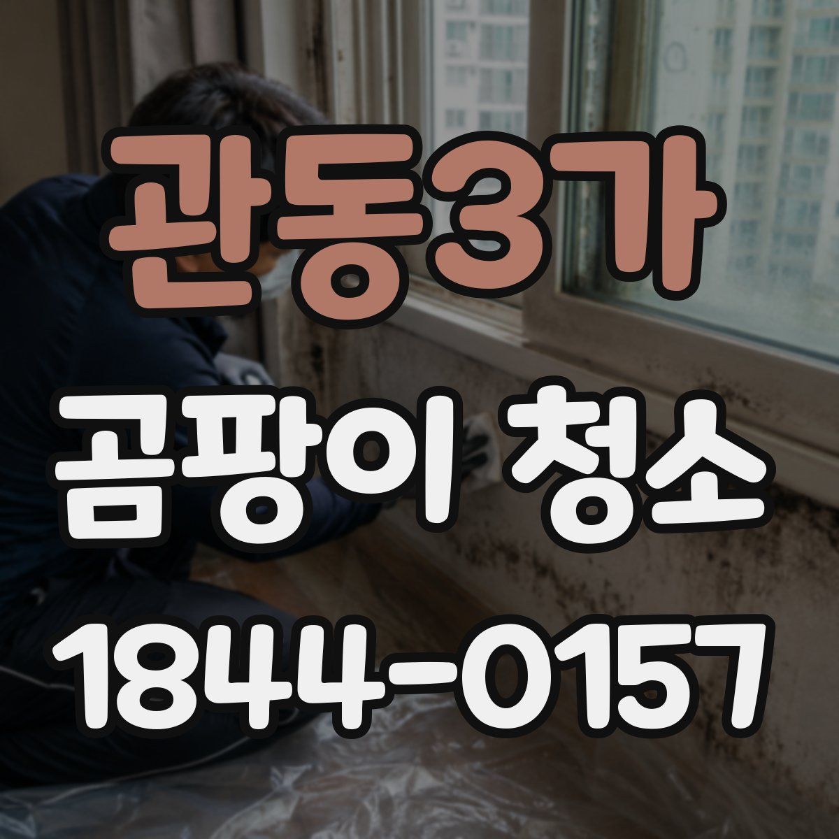관동3가 곰팡이 청소