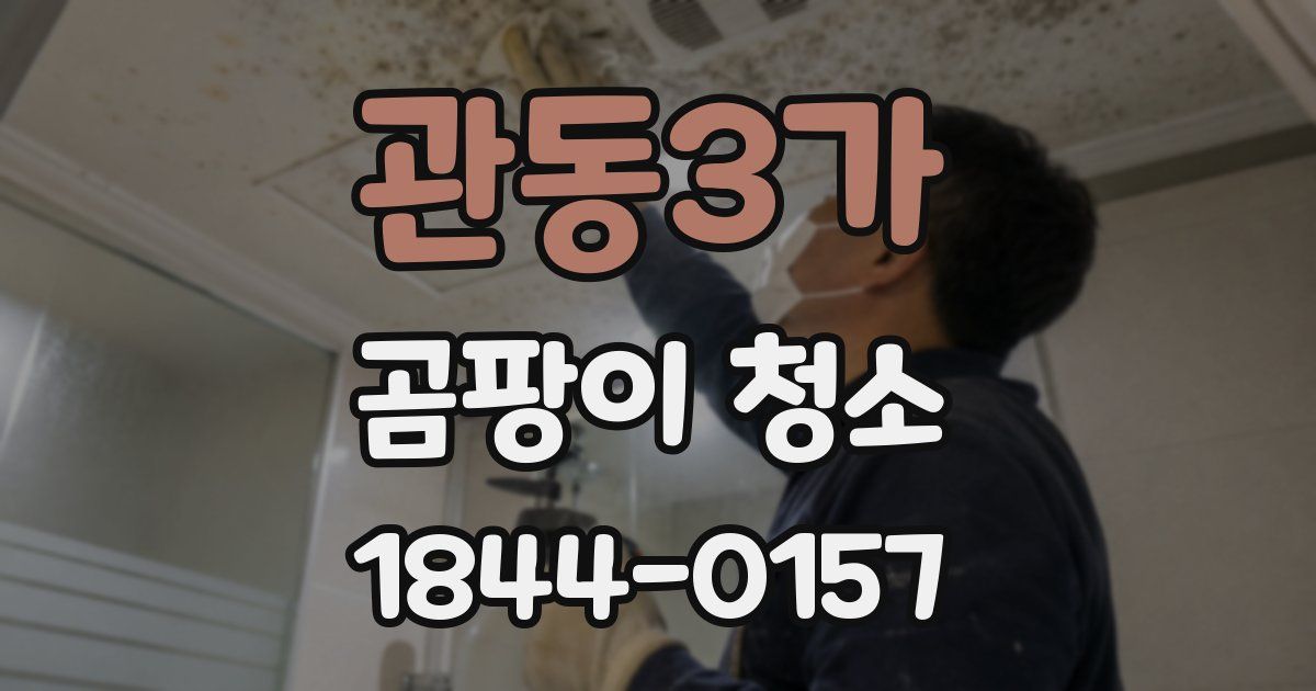 관동3가 곰팡이 청소