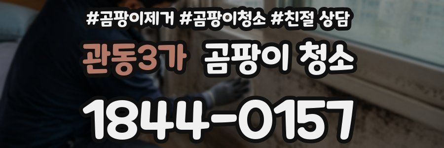 관동3가 곰팡이 청소