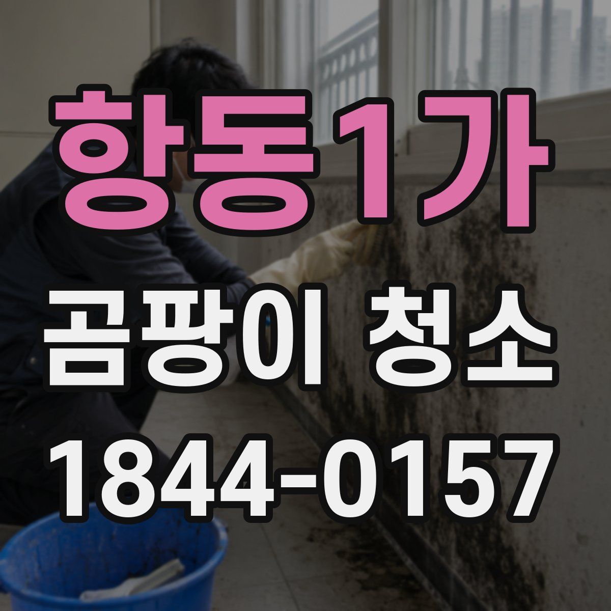 항동1가 곰팡이 청소