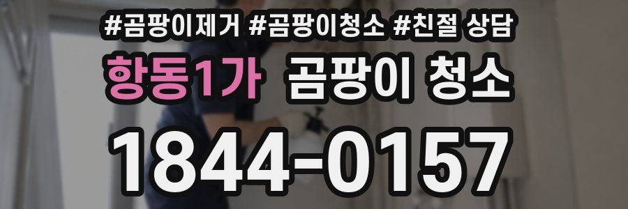 항동1가 곰팡이 청소