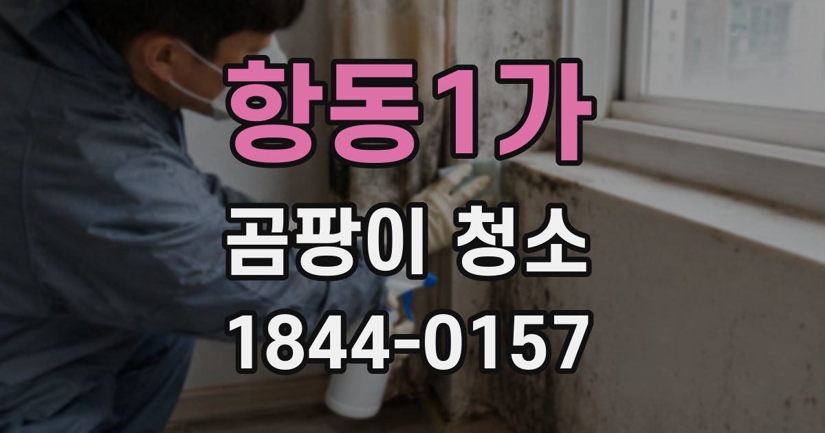 항동1가 곰팡이 청소