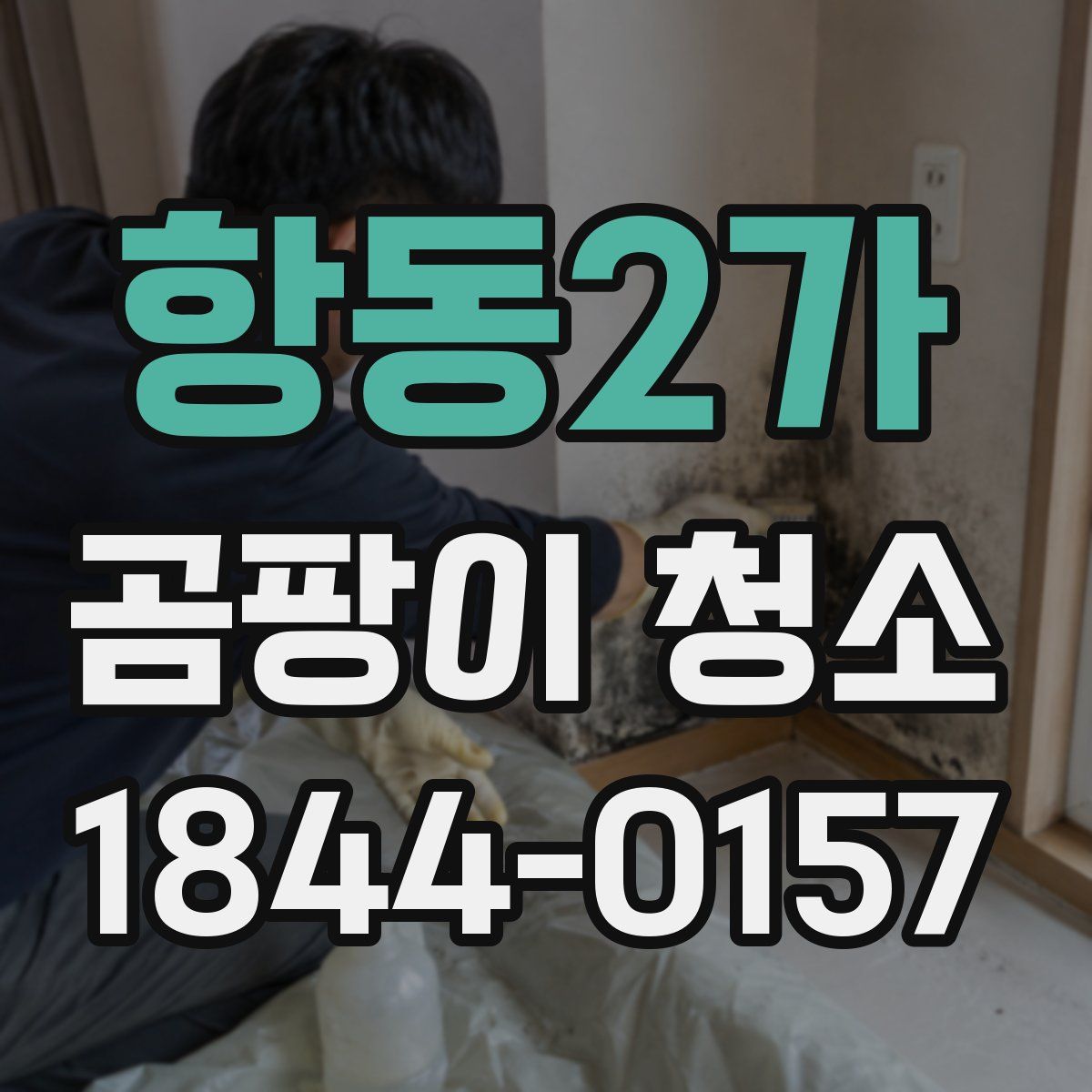 항동2가 곰팡이 청소