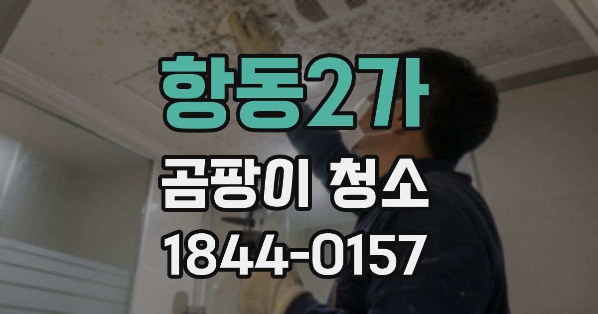 항동2가 곰팡이 청소