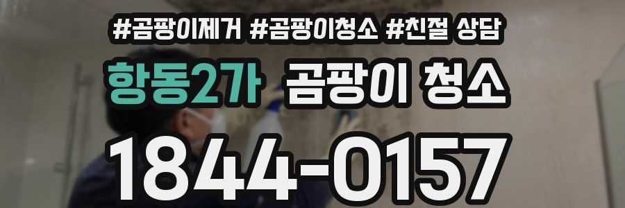 항동2가 곰팡이 청소
